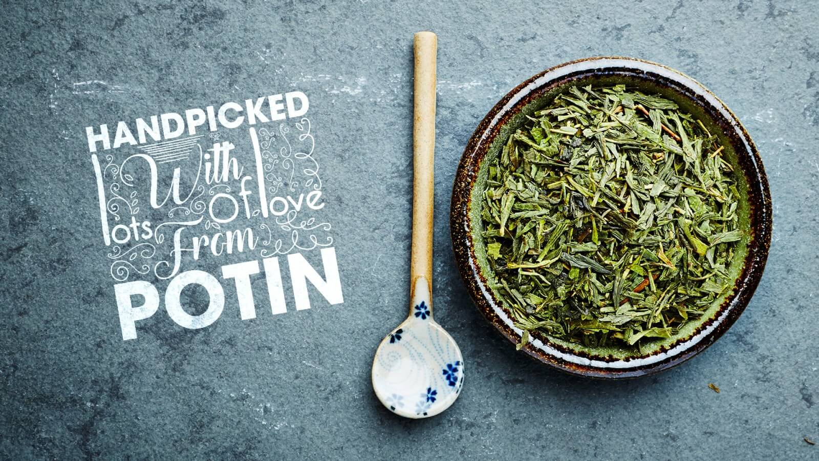 Potin